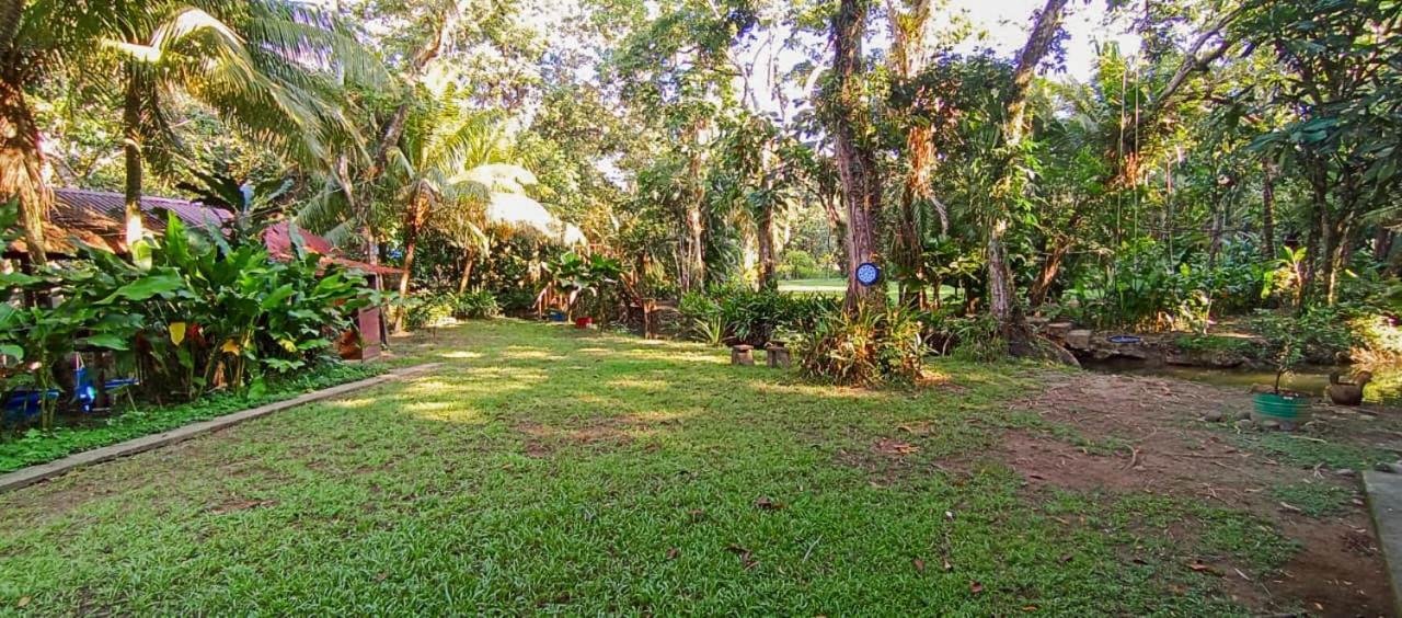Casa Caribe Hotel Rio Dulce Exterior photo